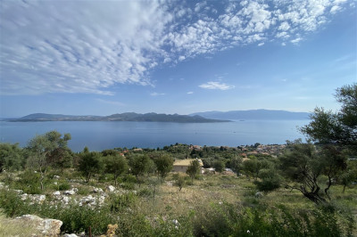 Nikiana 180 Panorama 02.jpg